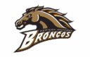 WMU logo
